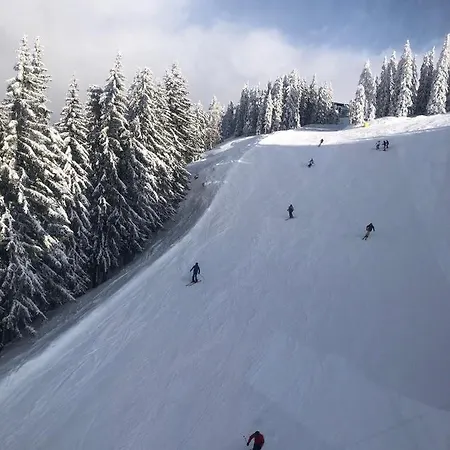 Deluxe Alpenkrone Lejlighed Schladming