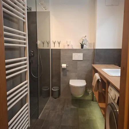 Apartamento Deluxe Alpenkrone Schladming