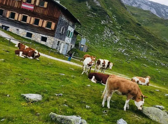 Апартаменты Deluxe Alpenkrone *