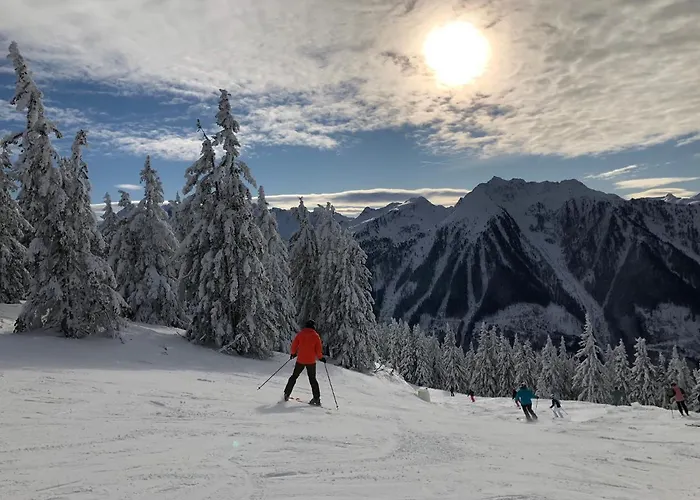 Апартаменты Deluxe Alpenkrone