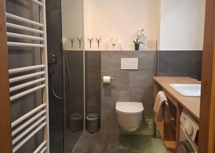 Apartment Alpenkrone Neubau Schladming